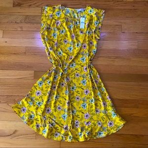 LOFT Dress NWT